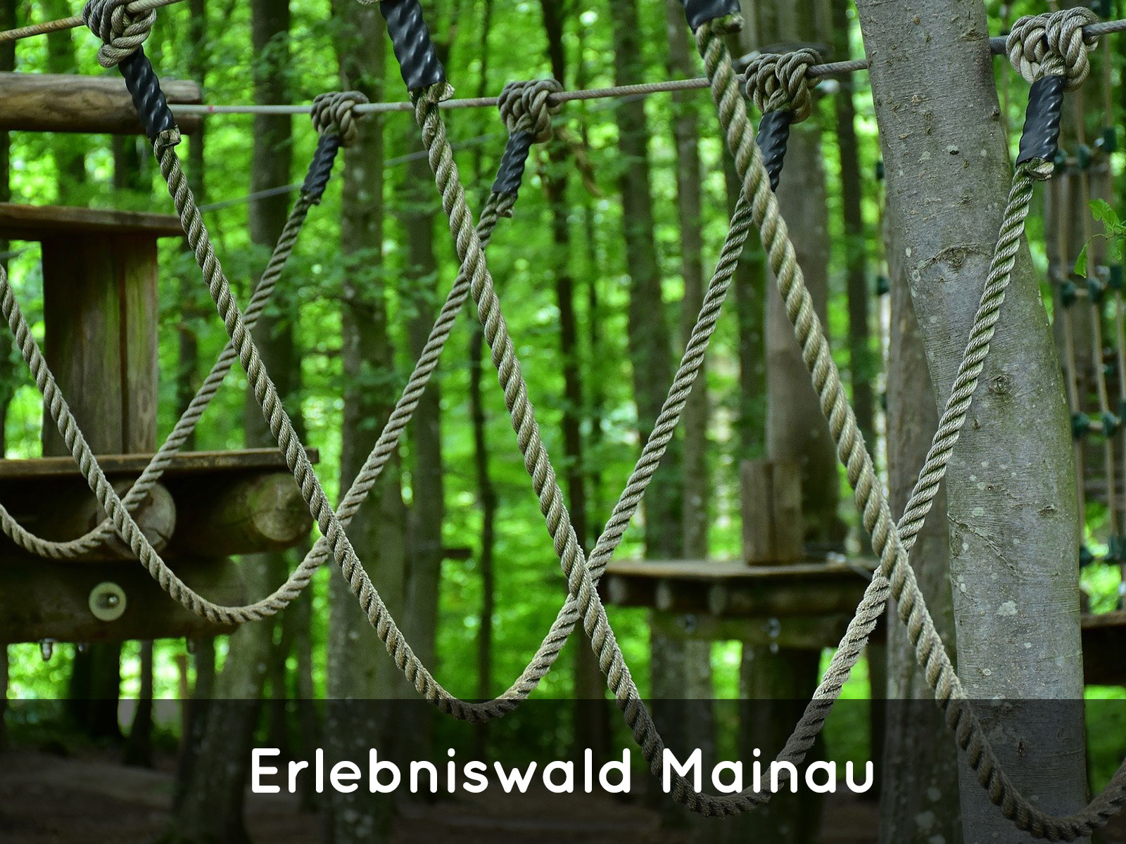 https://www.erlebniswald-mainau.de/erlebniswald-mainau/